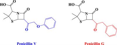 Microwave-assisted synthesis and development of novel penicillinoate@copper metal-organic frameworks as a potent antibacterial agent